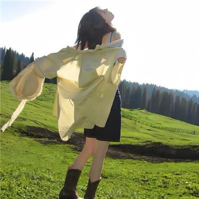 甄嬛传